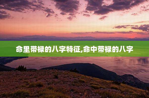 命里带禄的八字特征,命中带禄的八字