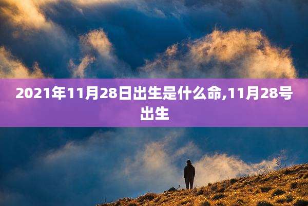 2021年11月28日出生是什么命,11月28号出生