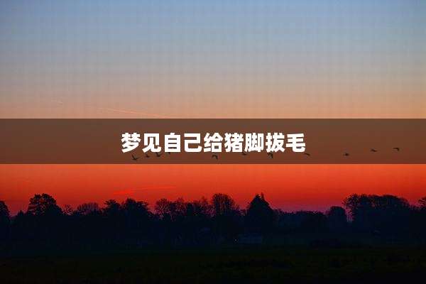 梦见自己给猪脚拔毛