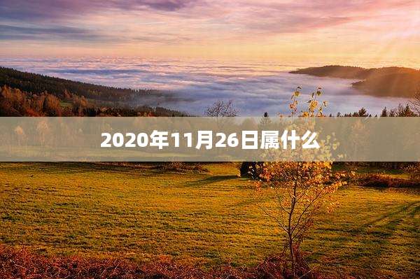 2020年11月26日属什么