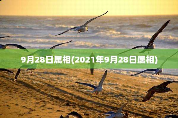 9月28日属相(2021年9月28日属相)