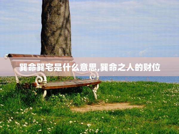 巽命巽宅是什么意思,巽命之人的财位