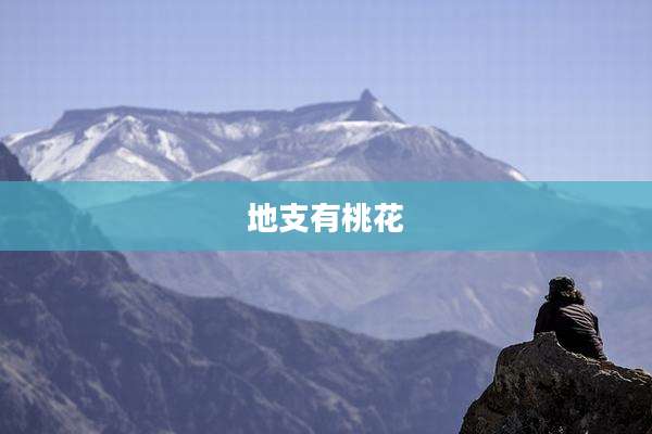 地支有桃花