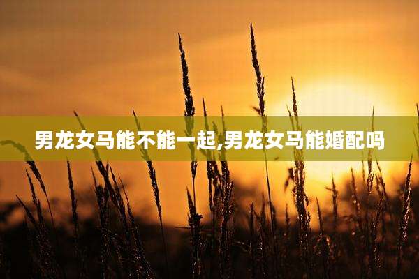 男龙女马能不能一起,男龙女马能婚配吗