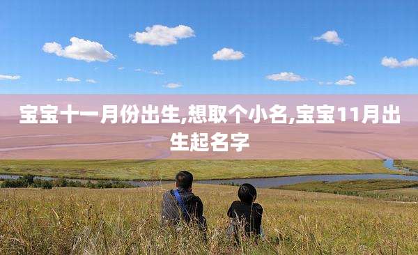 宝宝十一月份出生,想取个小名,宝宝11月出生起名字