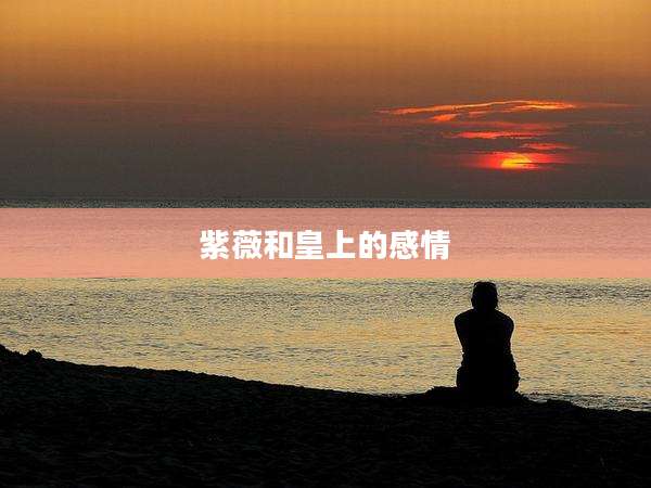 紫薇和皇上的感情