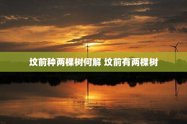 坟前种两棵树何解 坟前有两棵树