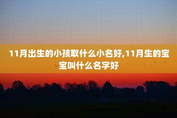 11月出生的小孩取什么小名好,11月生的宝宝叫什么名字好