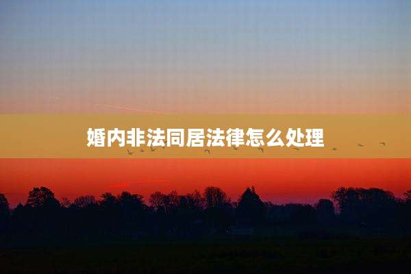 婚内非法同居法律怎么处理