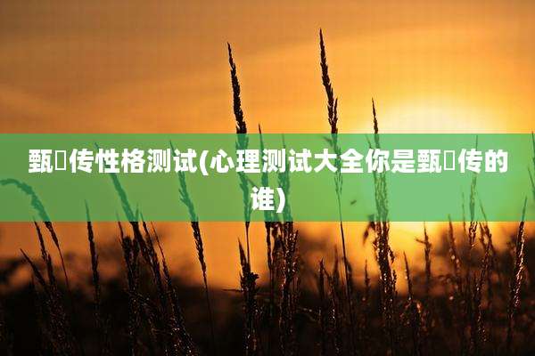 甄嬛传性格测试(心理测试大全你是甄嬛传的谁)