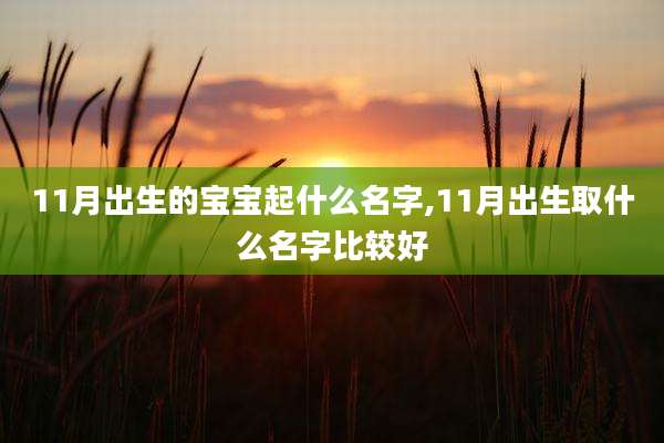 11月出生的宝宝起什么名字,11月出生取什么名字比较好