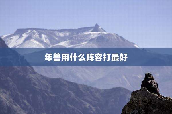 年兽用什么阵容打最好