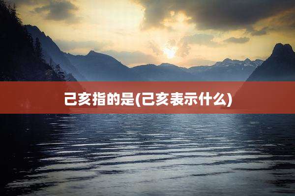 己亥指的是(己亥表示什么)