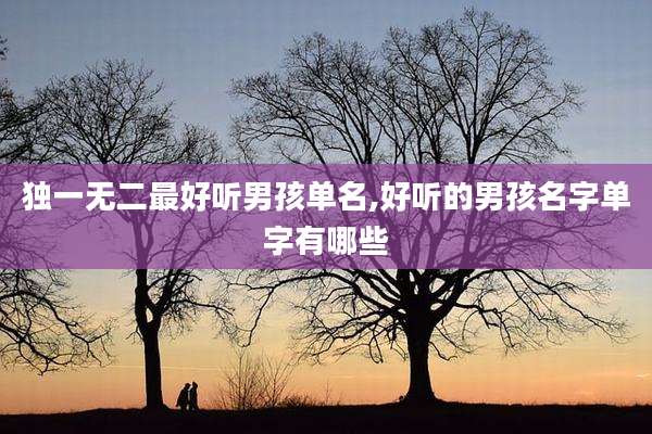 独一无二最好听男孩单名,好听的男孩名字单字有哪些