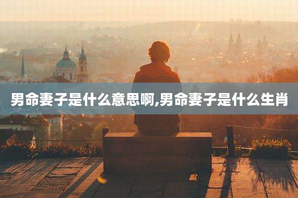男命妻子是什么意思啊,男命妻子是什么生肖