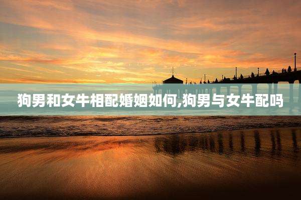 狗男和女牛相配婚姻如何,狗男与女牛配吗