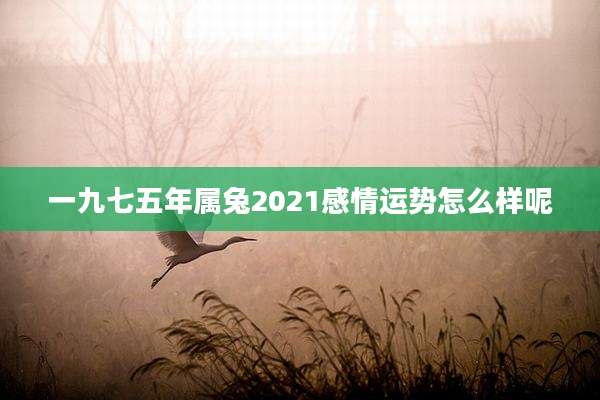 一九七五年属兔2021感情运势怎么样呢