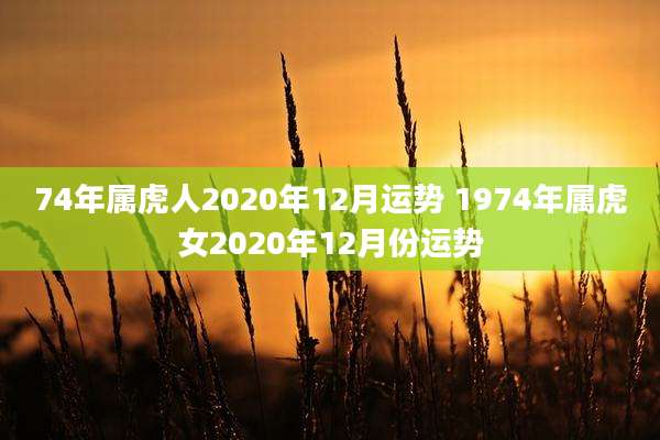 74年属虎人2020年12月运势 1974年属虎女2020年12月份运势