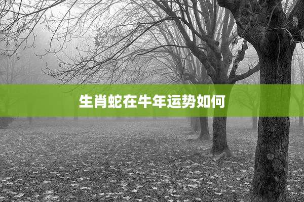 生肖蛇在牛年运势如何