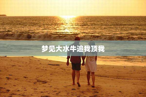 梦见大水牛追我顶我