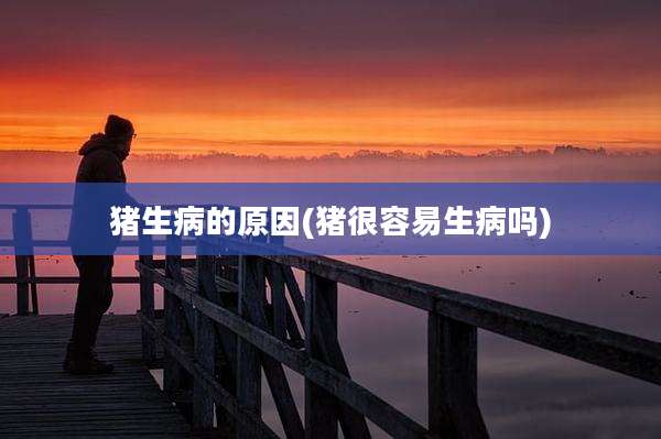 猪生病的原因(猪很容易生病吗)