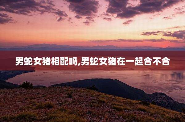 男蛇女猪相配吗,男蛇女猪在一起合不合