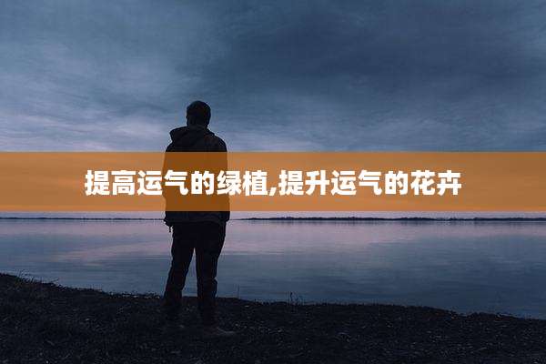 提高运气的绿植,提升运气的花卉