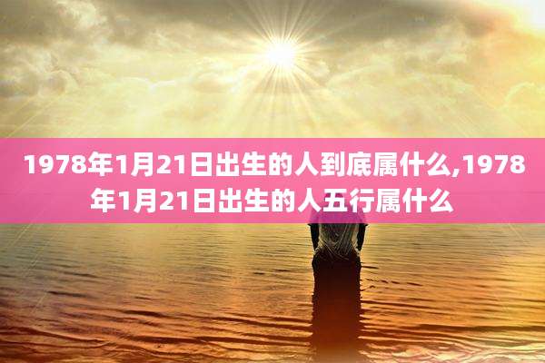 1978年1月21日出生的人到底属什么,1978年1月21日出生的人五行属什么