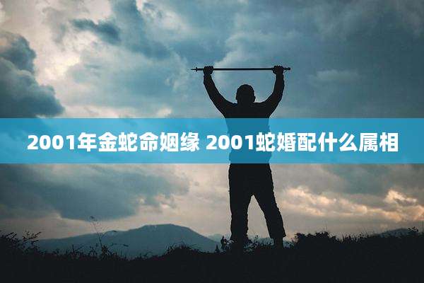2001年金蛇命姻缘 2001蛇婚配什么属相