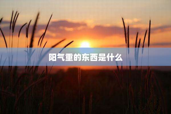 阳气重的东西是什么