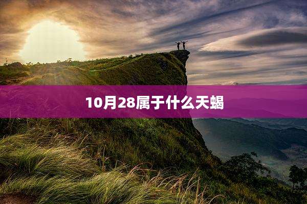 10月28属于什么天蝎