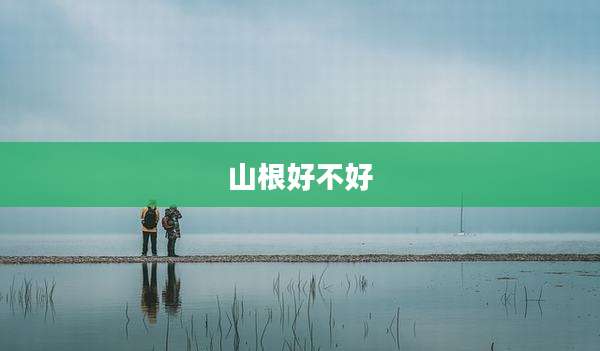 山根好不好