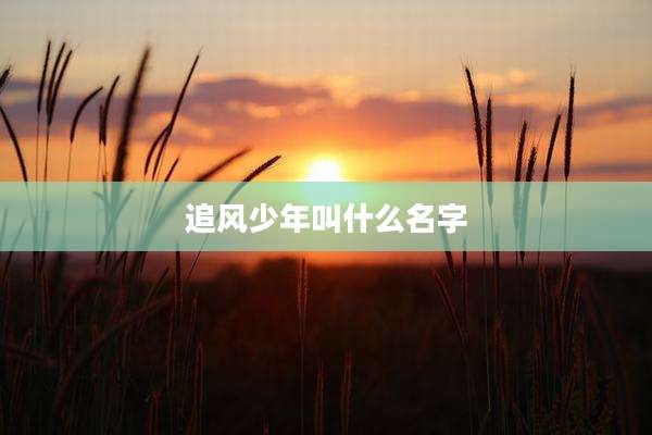 追风少年叫什么名字