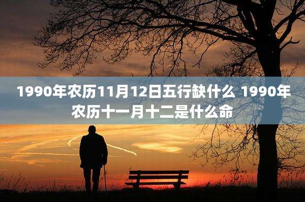 1990年农历11月12日五行缺什么 1990年农历十一月十二是什么命