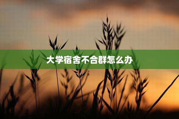 大学宿舍不合群怎么办