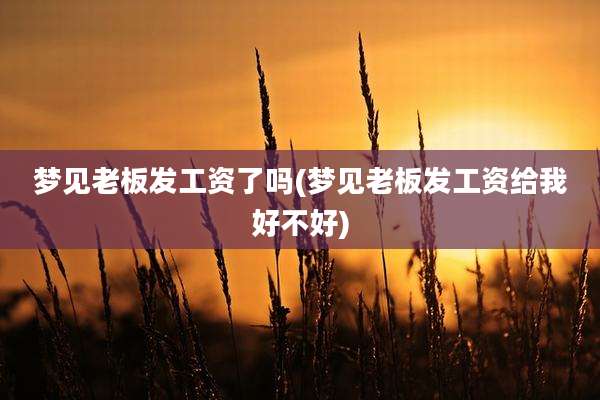 梦见老板发工资了吗(梦见老板发工资给我好不好)