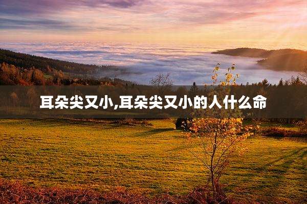 耳朵尖又小,耳朵尖又小的人什么命