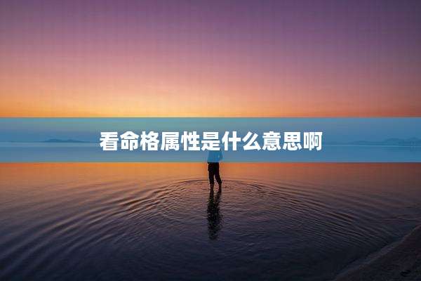 看命格属性是什么意思啊