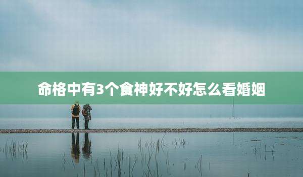 命格中有3个食神好不好怎么看婚姻