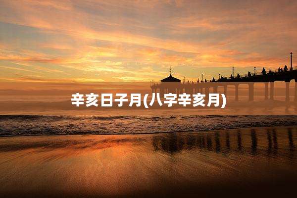 辛亥日子月(八字辛亥月)