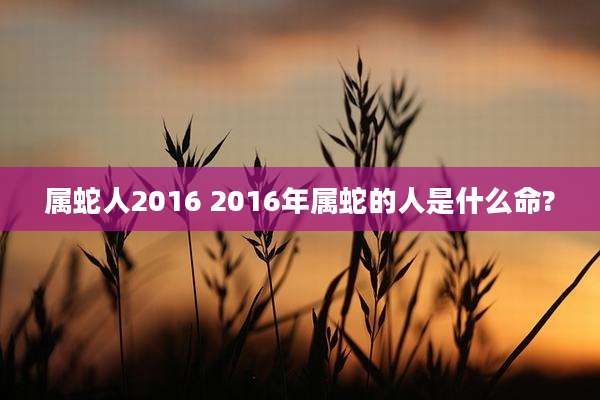 属蛇人2016 2016年属蛇的人是什么命?