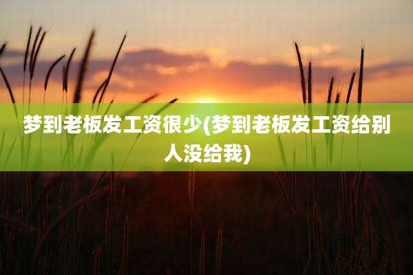 梦到老板发工资很少(梦到老板发工资给别人没给我)