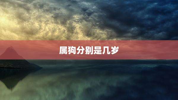 属狗分别是几岁