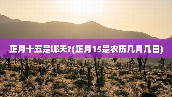 正月十五是哪天?(正月15是农历几月几日)
