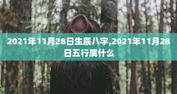 2021年11月28日生辰八字,2021年11月28日五行属什么