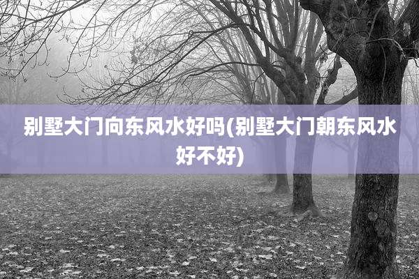 别墅大门向东风水好吗(别墅大门朝东风水好不好)