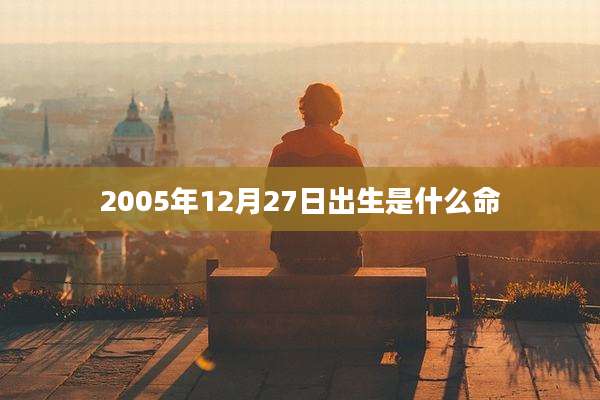 2005年12月27日出生是什么命