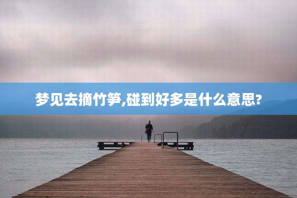 梦见去摘竹笋,碰到好多是什么意思?