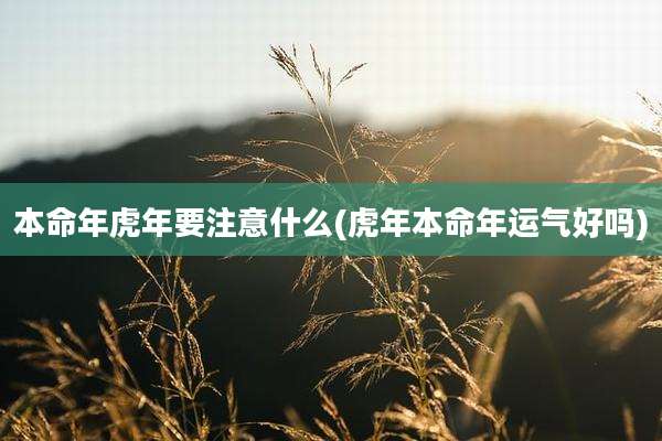 本命年虎年要注意什么(虎年本命年运气好吗)