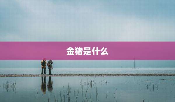 金猪是什么